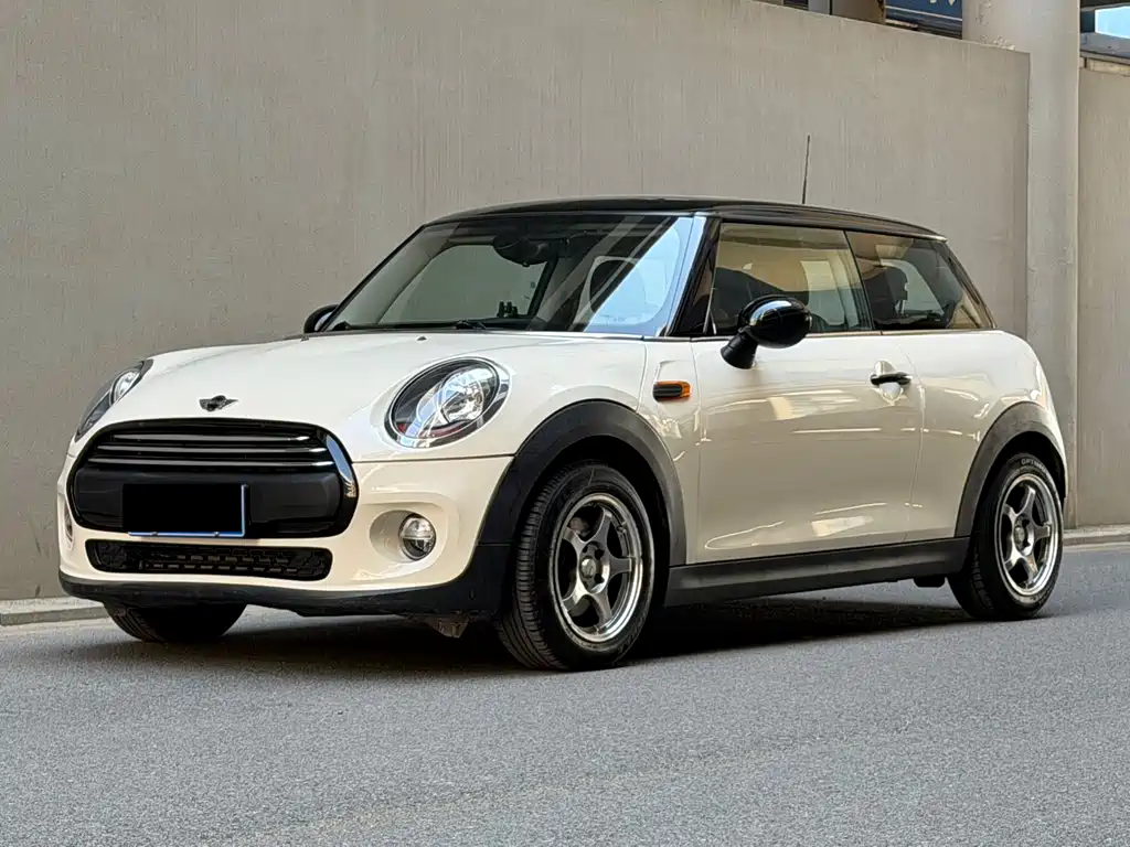 Mini Mini 2015