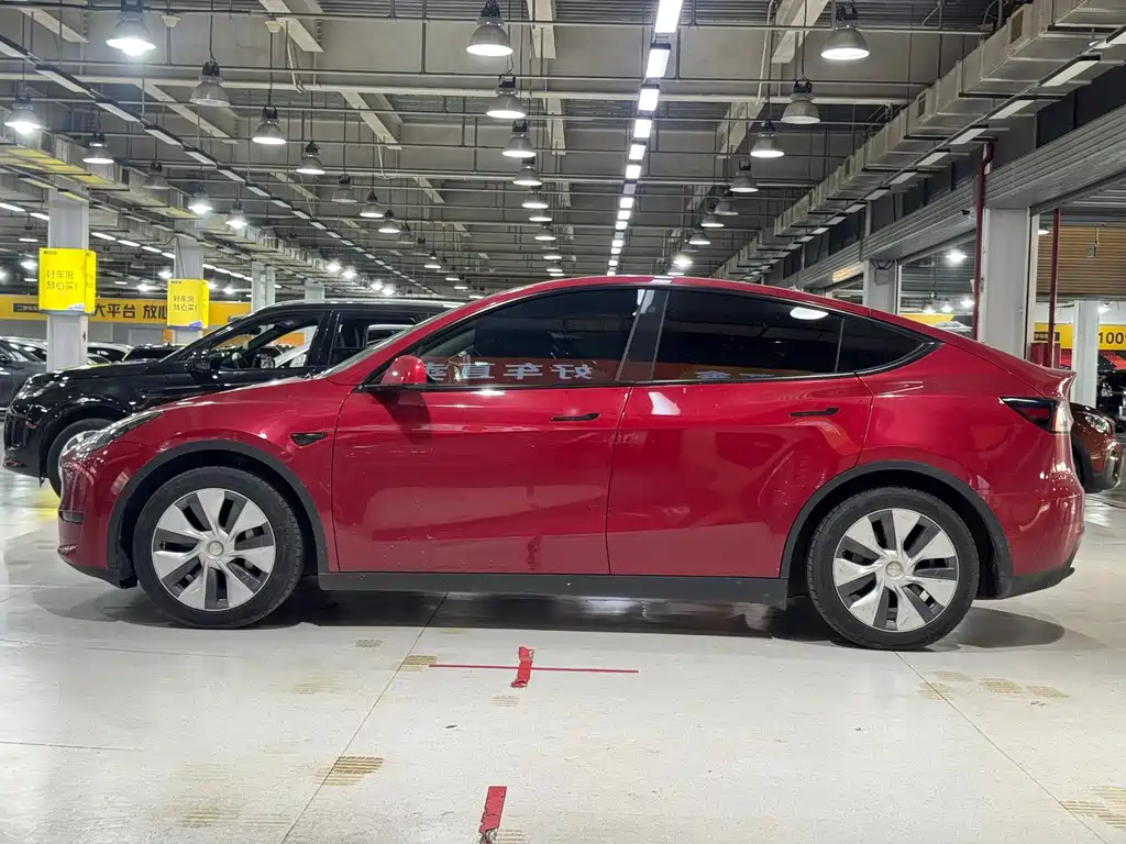 Tesla Model Y — миниатюра 17