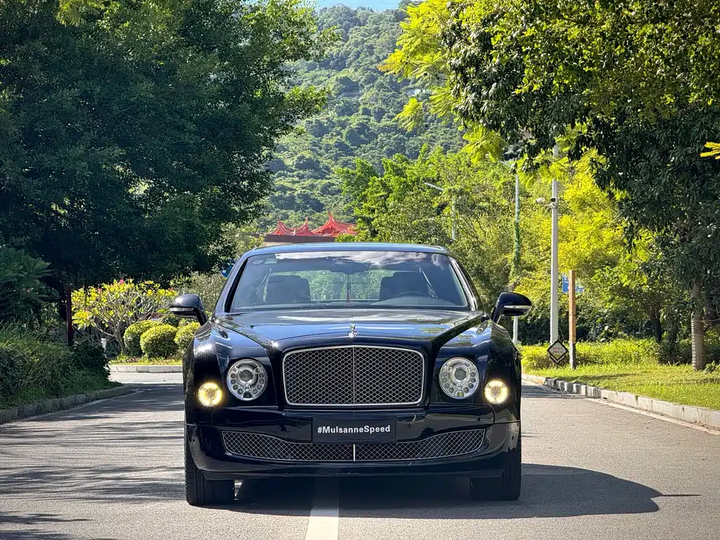 Bentley Mulsanne — миниатюра 2
