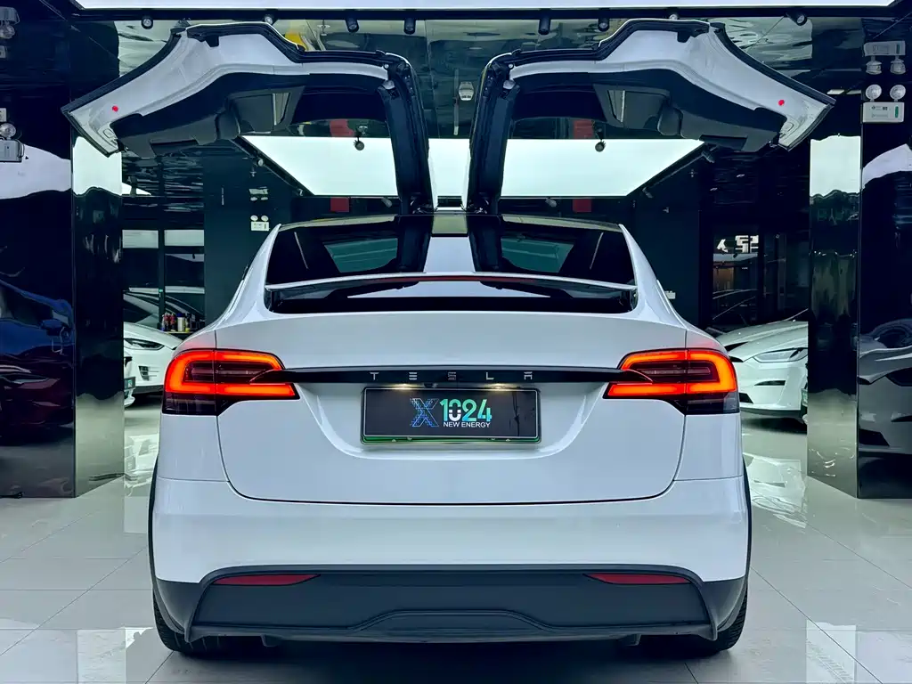 Tesla Model X — миниатюра 6