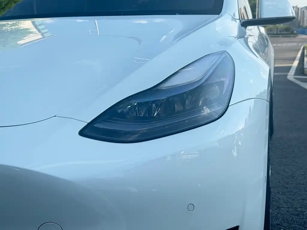 Tesla Model Y — миниатюра 4