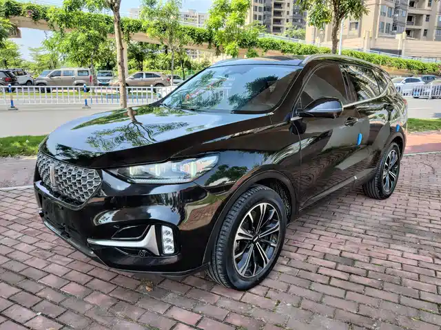 2020 Wey VV6