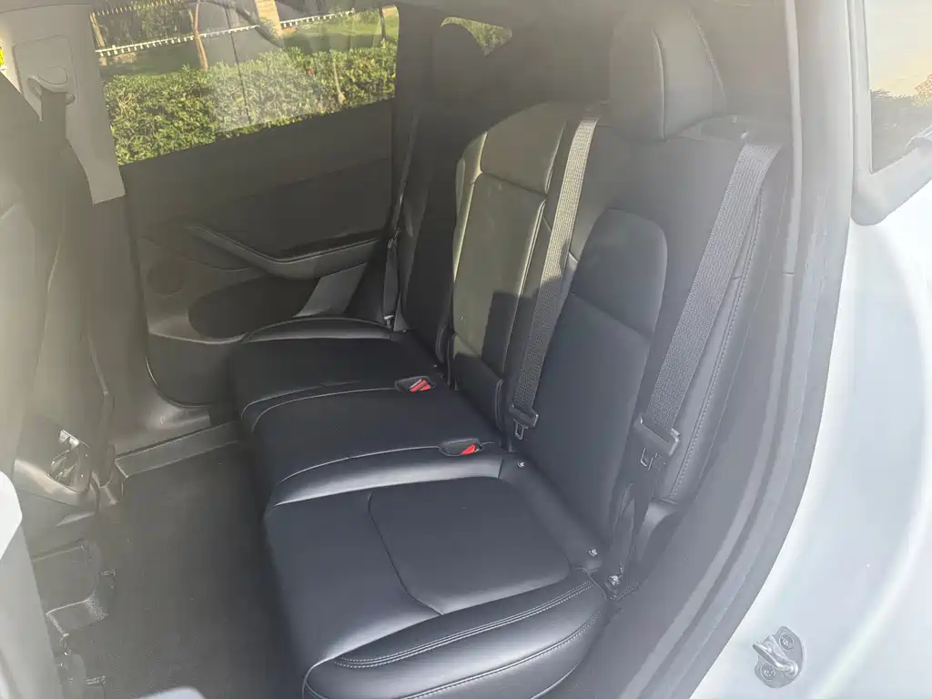 Tesla Model Y — миниатюра 18