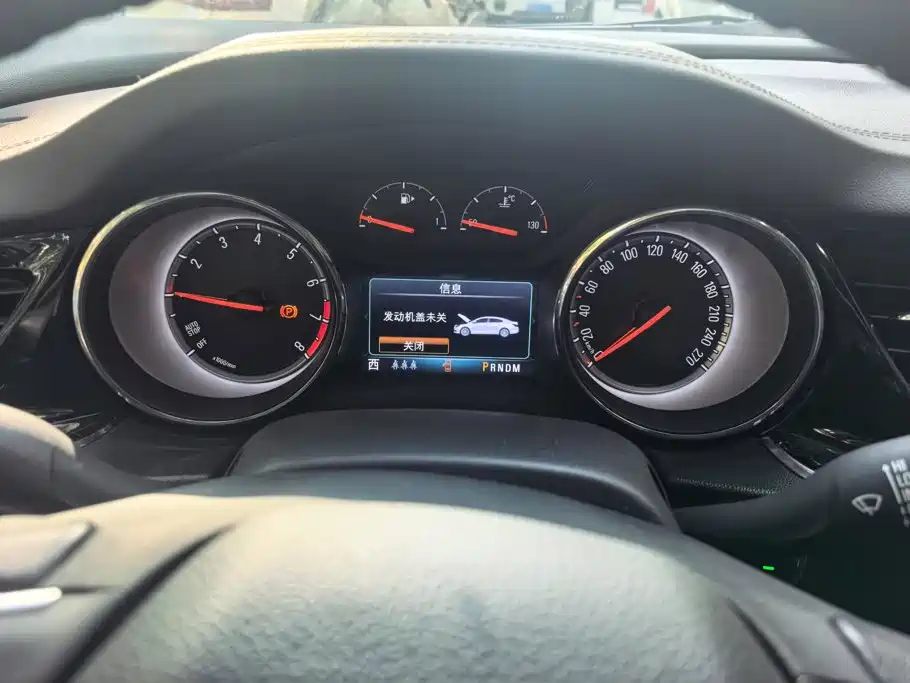 Buick Regal — миниатюра 14