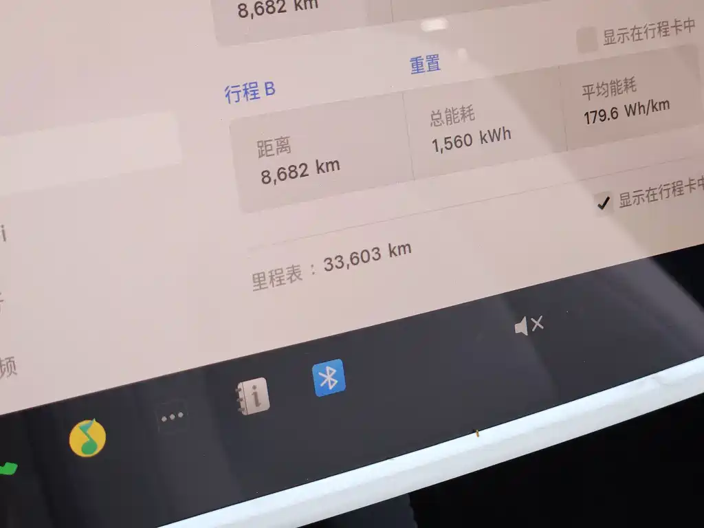 Tesla Model Y — миниатюра 15