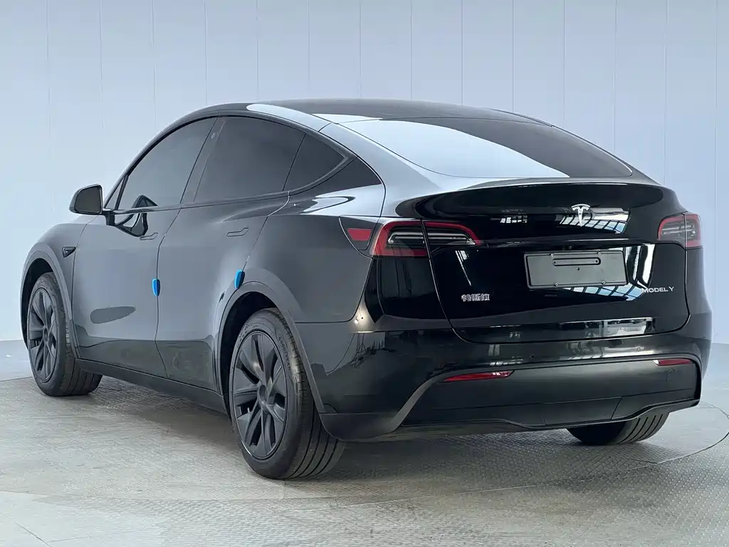 Tesla Model Y — миниатюра 24