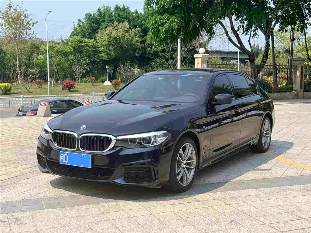 BMW 5 Series 2019
