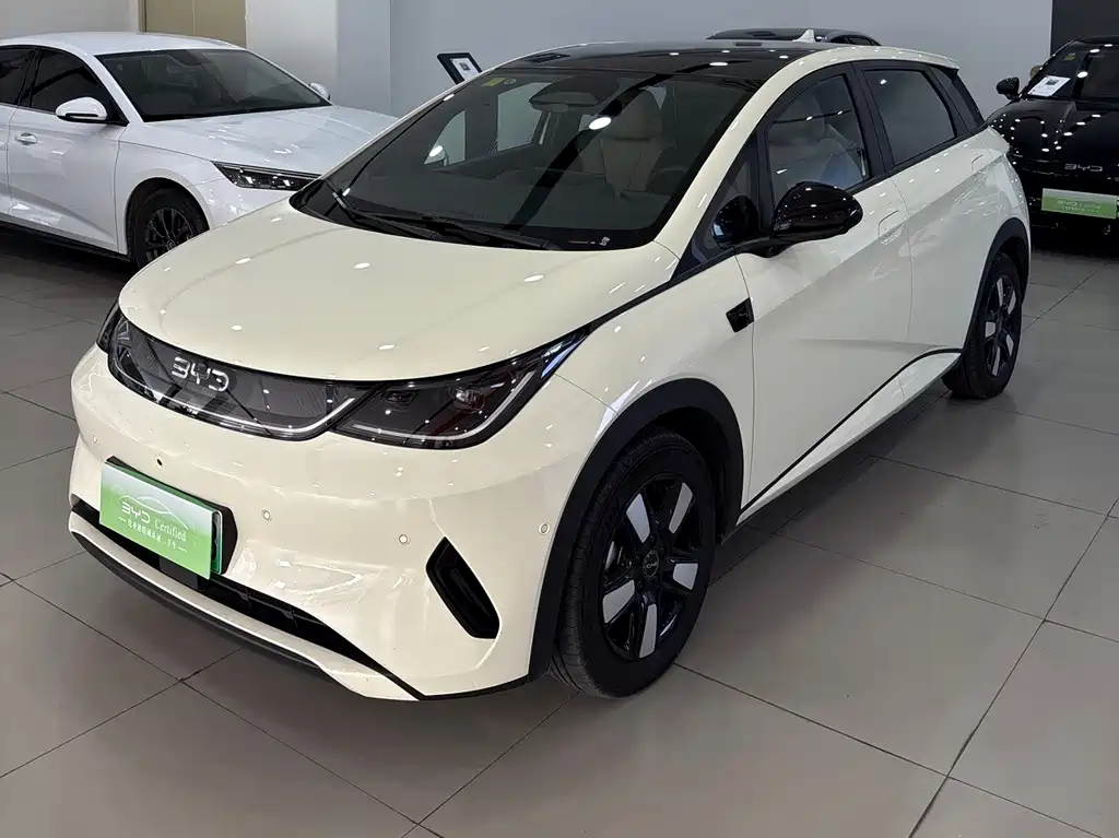 Byd Dolphin 2025
