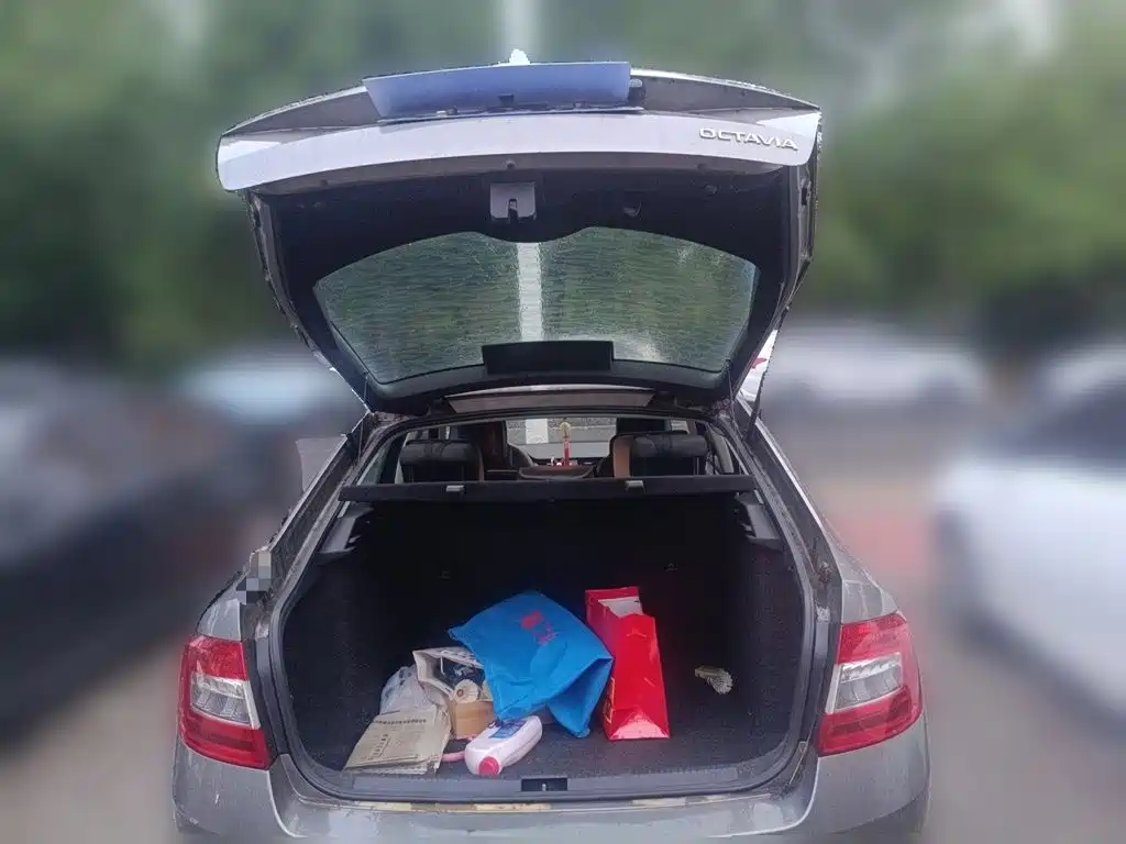 Skoda Octavia — миниатюра 20