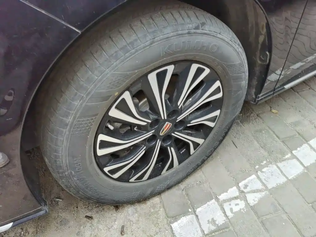 Hongqi Hongqi HQ9 PHEV — миниатюра 23