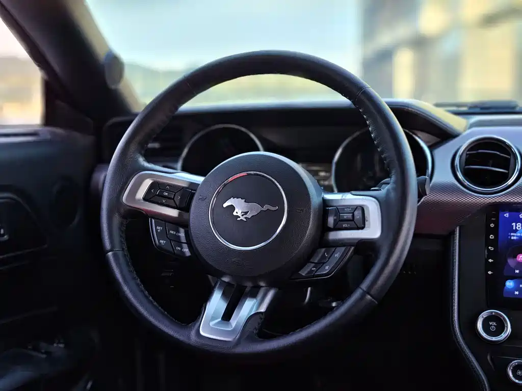 Ford Mustang — миниатюра 13