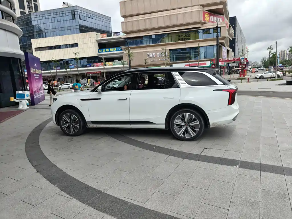 Hongqi E-HS9 2021 460km мест
