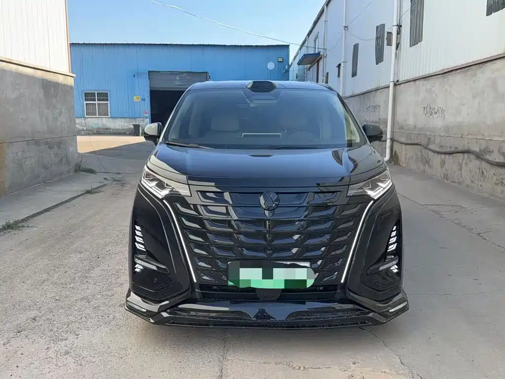 Denza Denza D9 — миниатюра 4