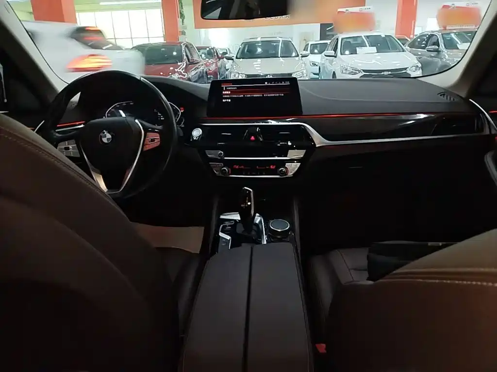 BMW 5 Series 5 2020 525Li Luxury