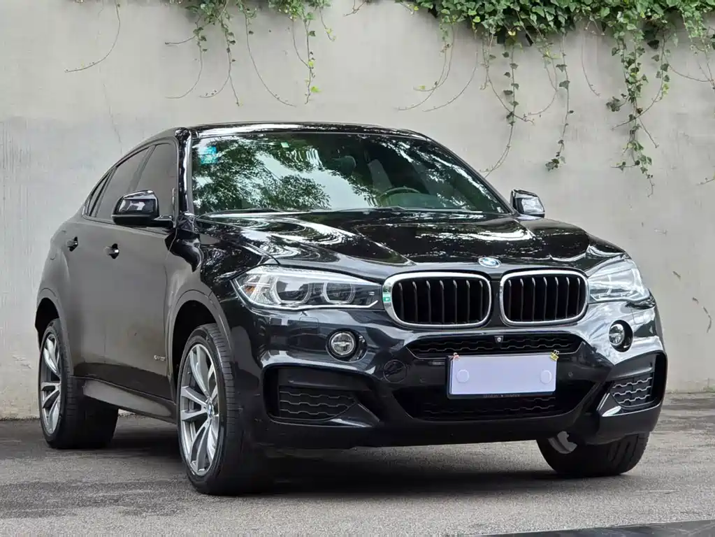 BMW X6 — миниатюра 3