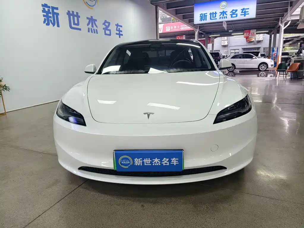 Tesla Model 3 — миниатюра 3