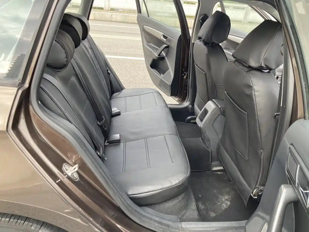 Volkswagen Gran Lavida — миниатюра 14