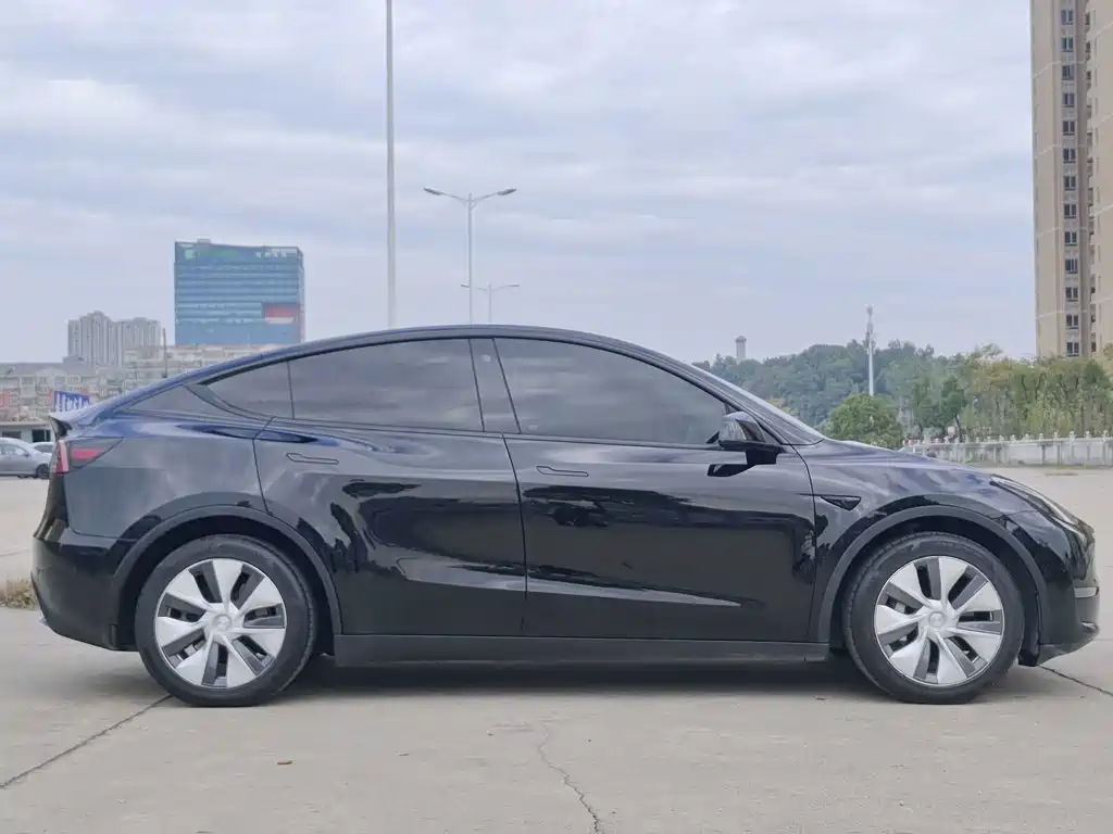 Tesla Model Y — миниатюра 8