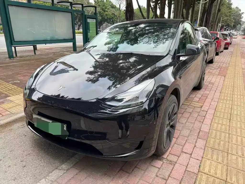 Tesla Model Y 2024