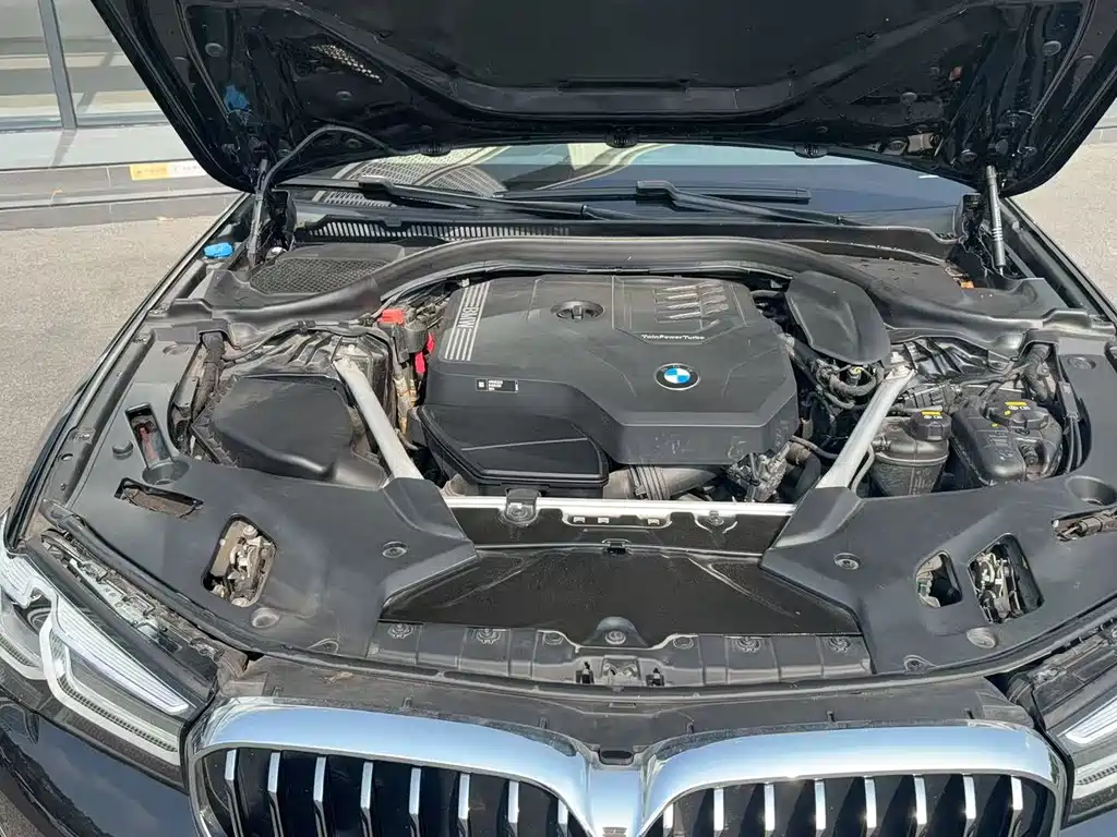 BMW 5 Series 5 2021 530Li Lead Luxury