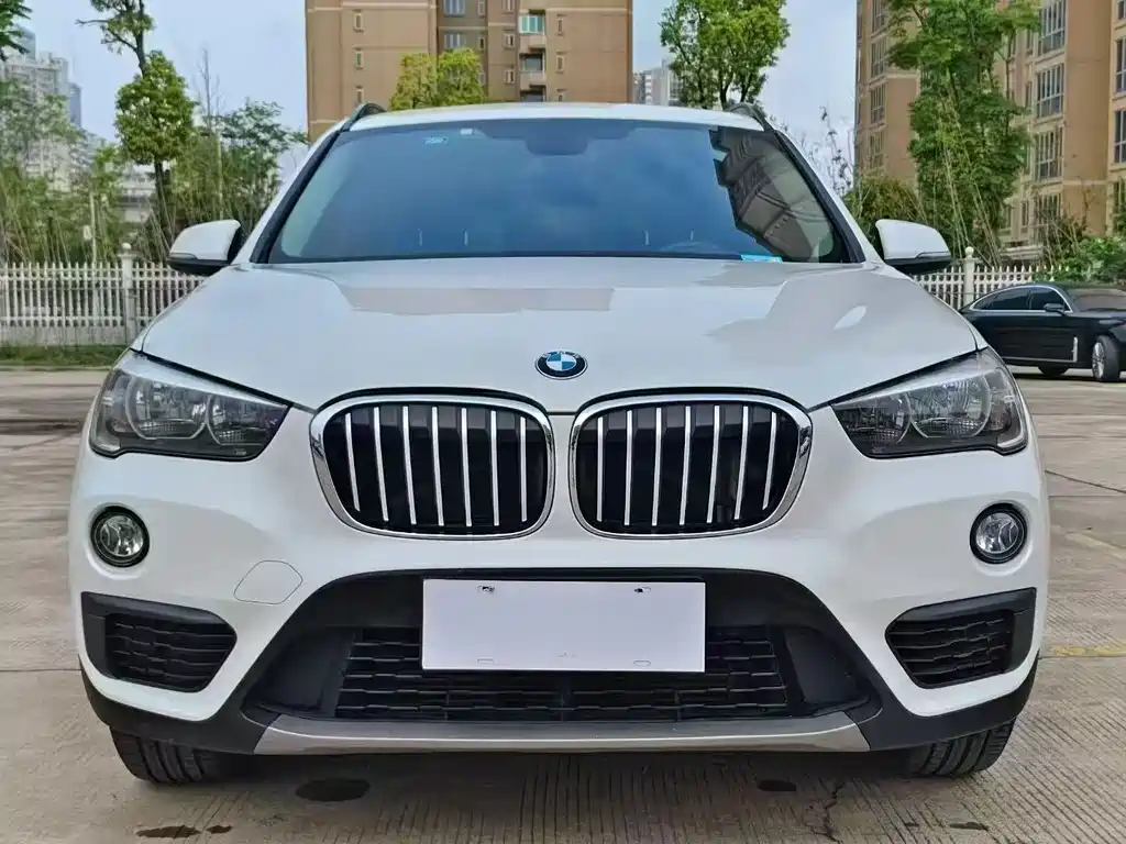 BMW X1 — миниатюра 2