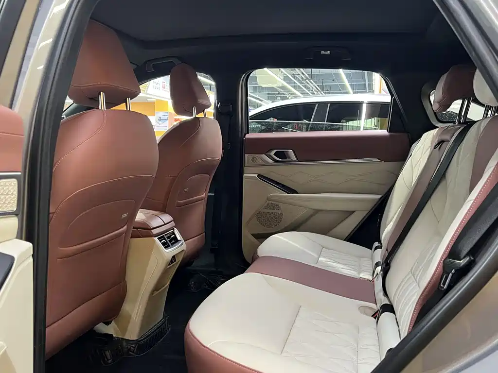 Haval Shenshou — миниатюра 6
