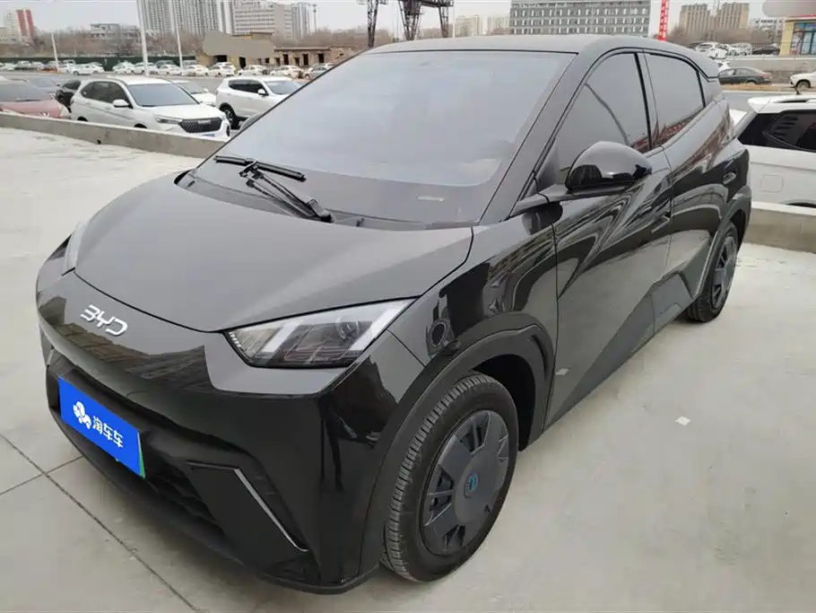 Byd Seagull 2024