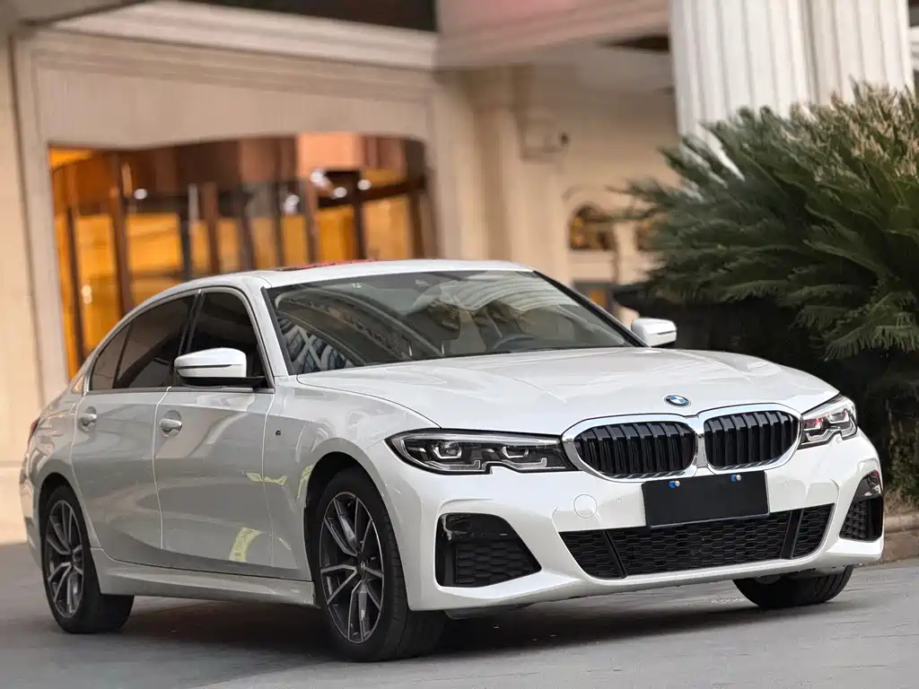 BMW 3 Series 3 2020 325Li