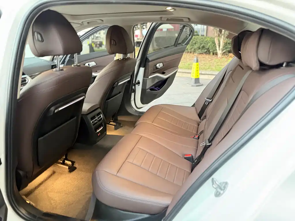 BMW 3 Series 3 2020 325Li