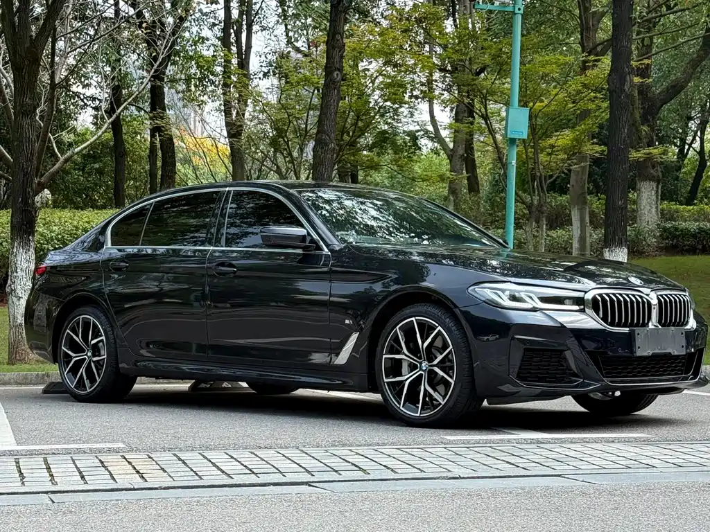 BMW 5 Series — миниатюра 3