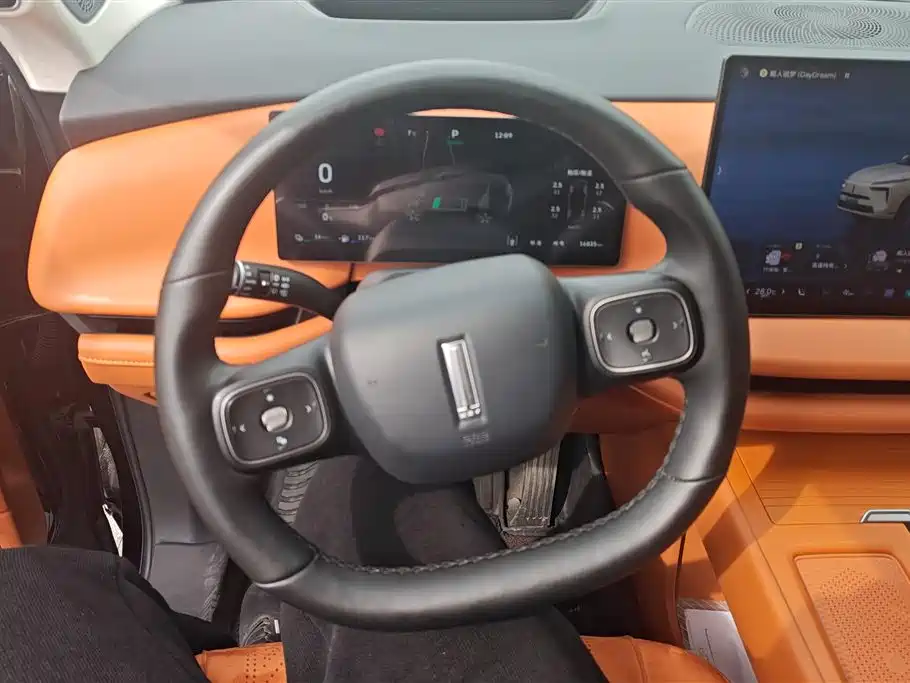 WEI PAI WEI BRAND BLUE MOUNTAIN