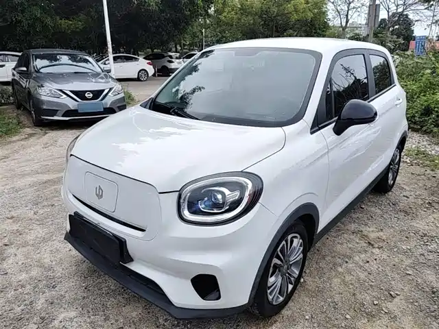 2021 Leapmotor T03