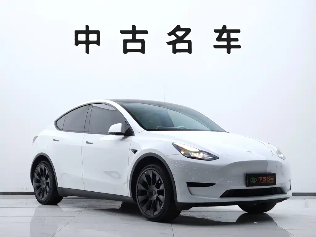 Tesla Model Y — миниатюра 3