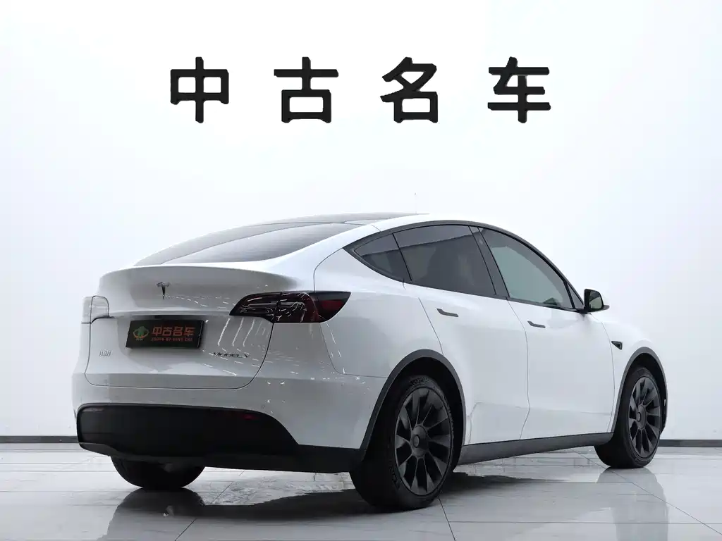 Tesla Model Y — миниатюра 4