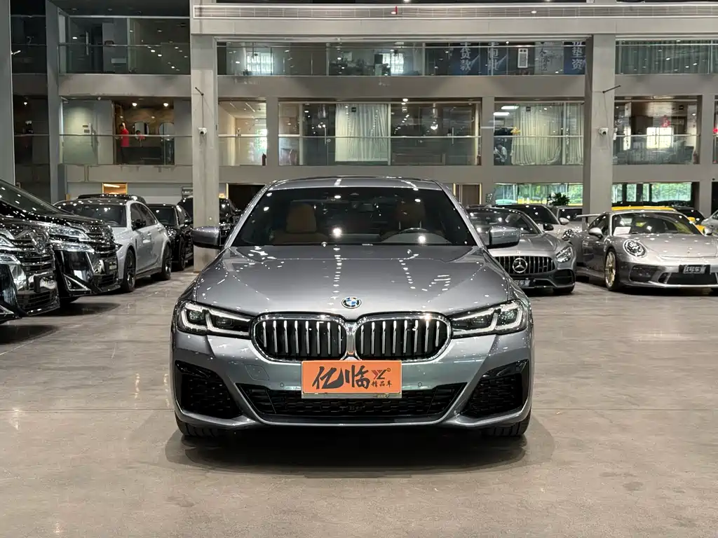 BMW 5 Series (Import) Facelift 530i M Sport Package, фото 2