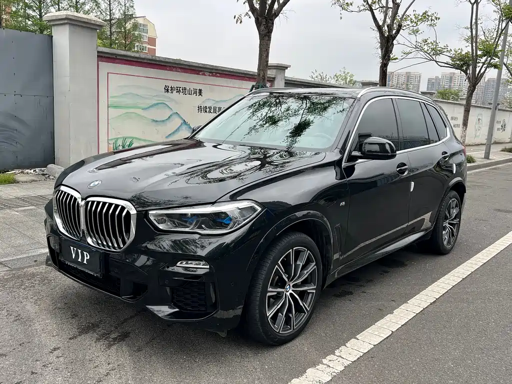 BMW X5 (Import) 2019