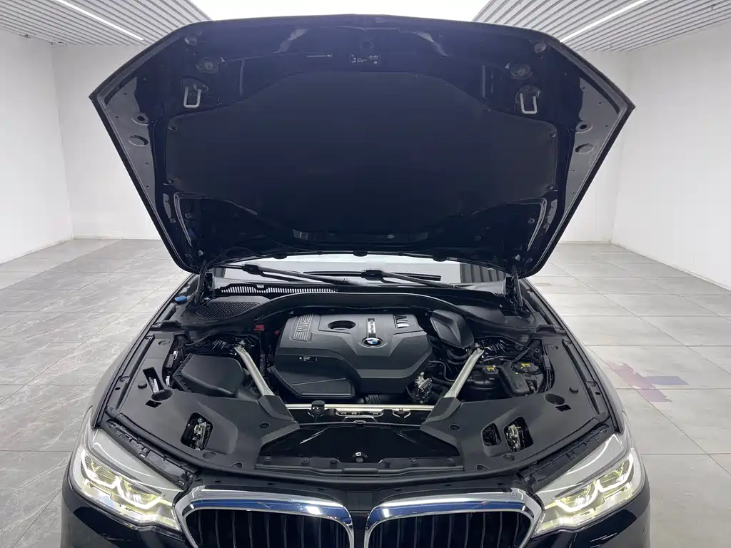 BMW 5 Series 5 2020 530Li Lead M Sport