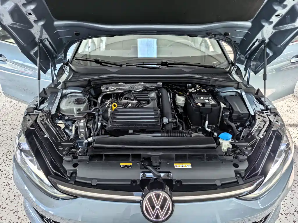 Volkswagen Lamando — фотографии объявления, Фото 27