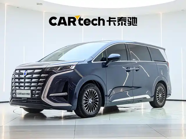2023 Denza D9