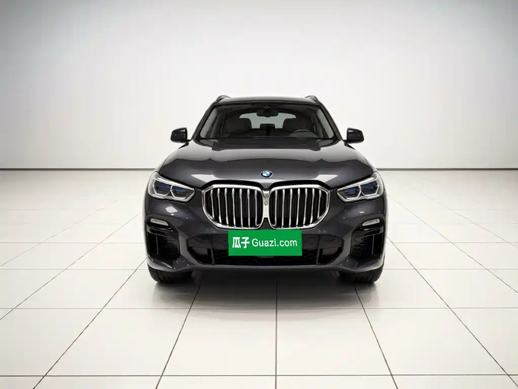BMW X5 (Import) — миниатюра 2