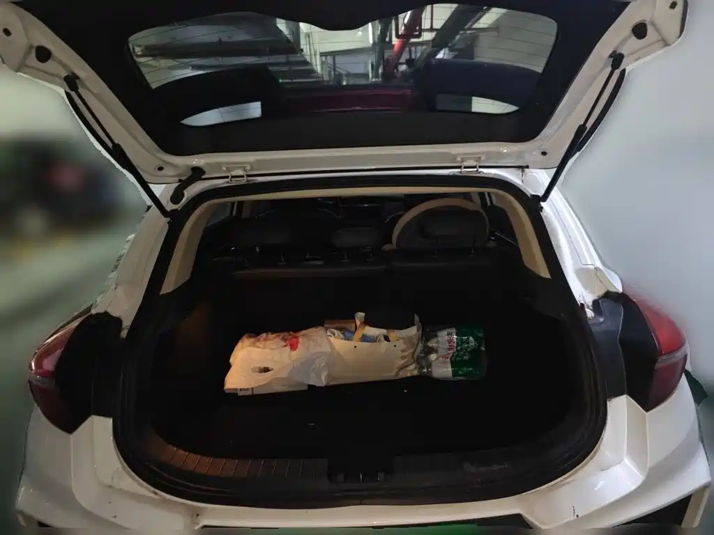 Geely Emgrand GS — миниатюра 10