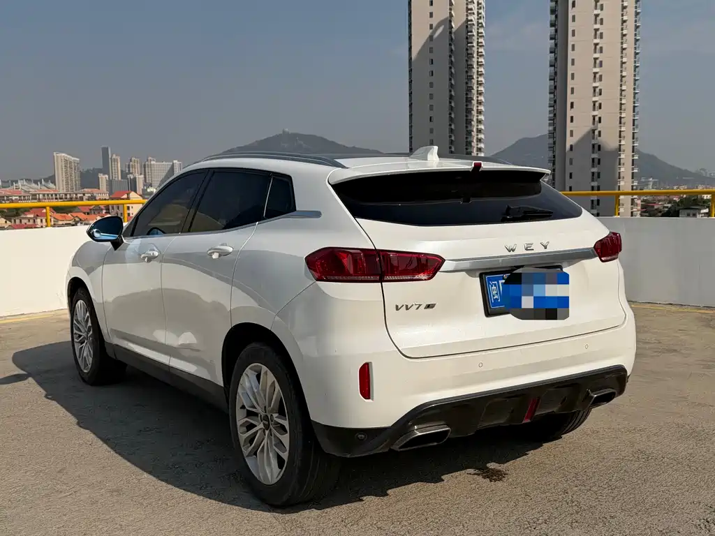 WEI PAI WEI BRAND VV7