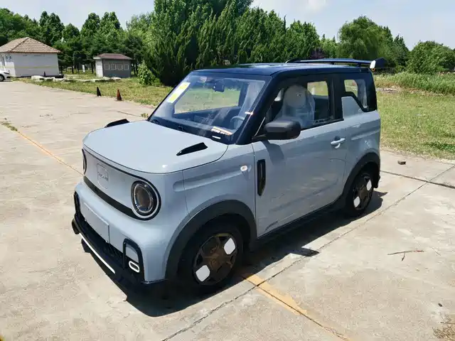 2026 Geely LC (Panda)