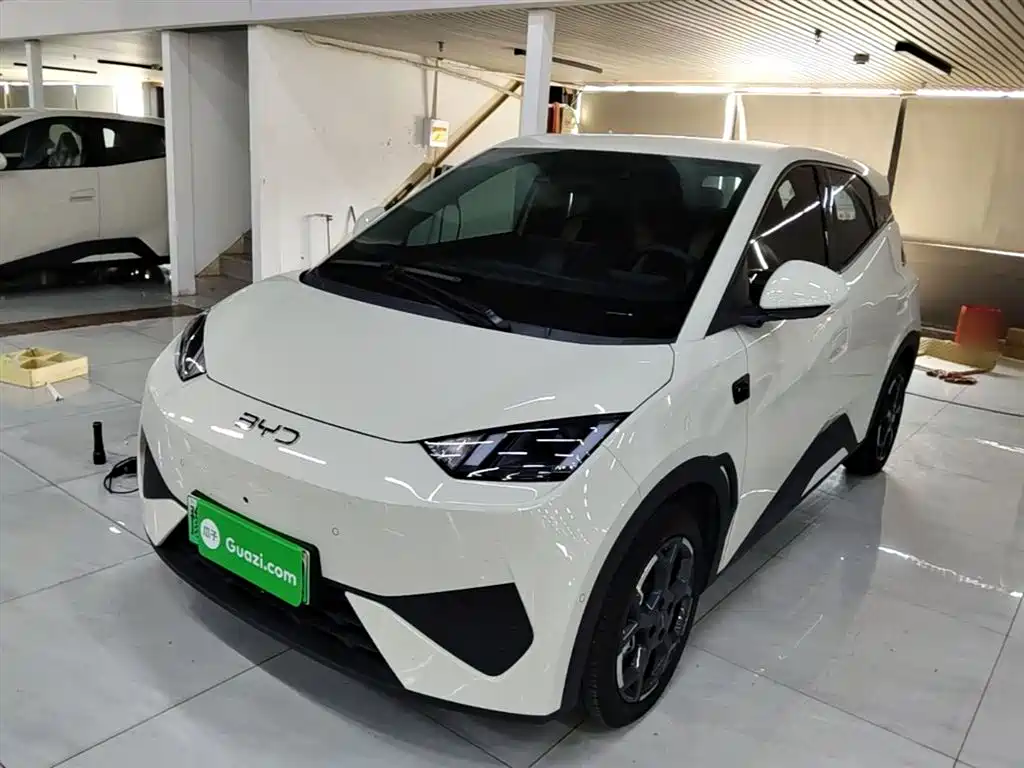 Byd Seagull 2025