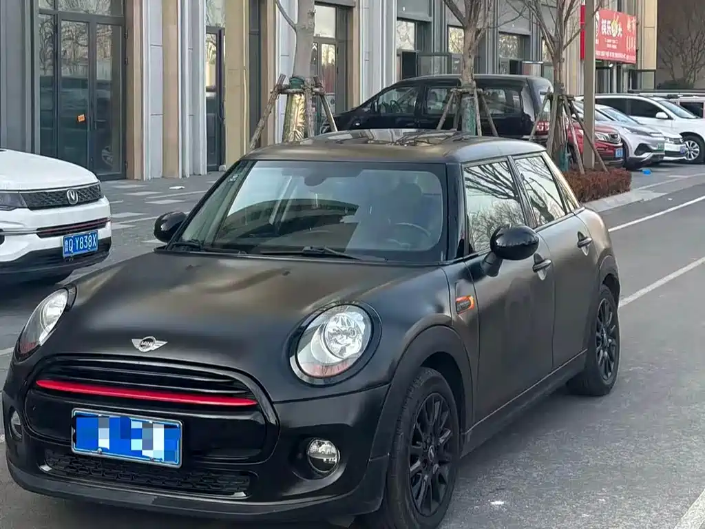 Mini Mini 2016