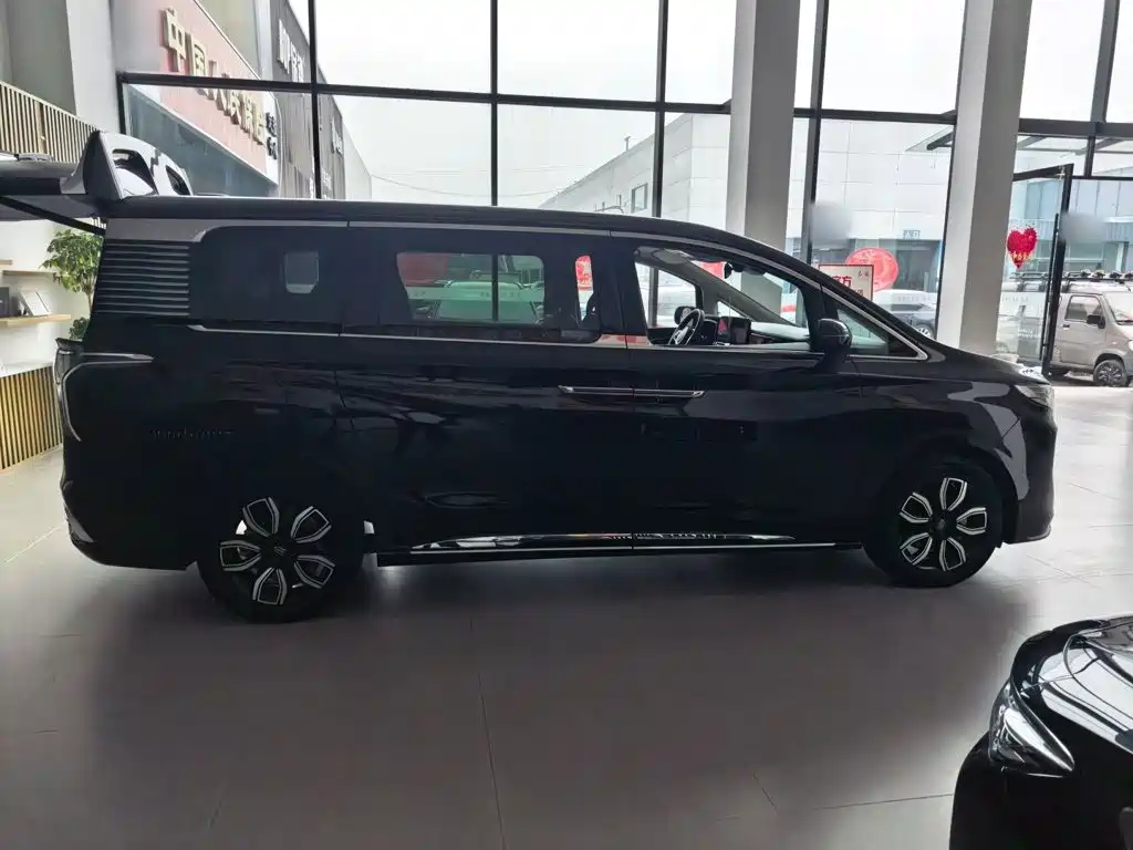 Hongqi Hongqi HQ9 — миниатюра 10