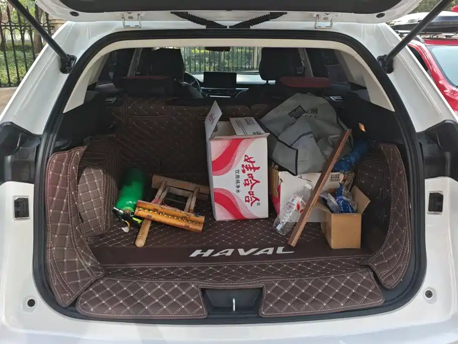 Haval H6 — миниатюра 4