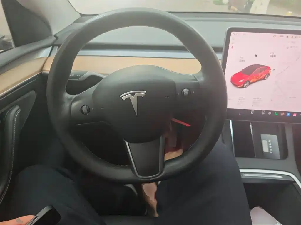 Tesla Model Y — миниатюра 11