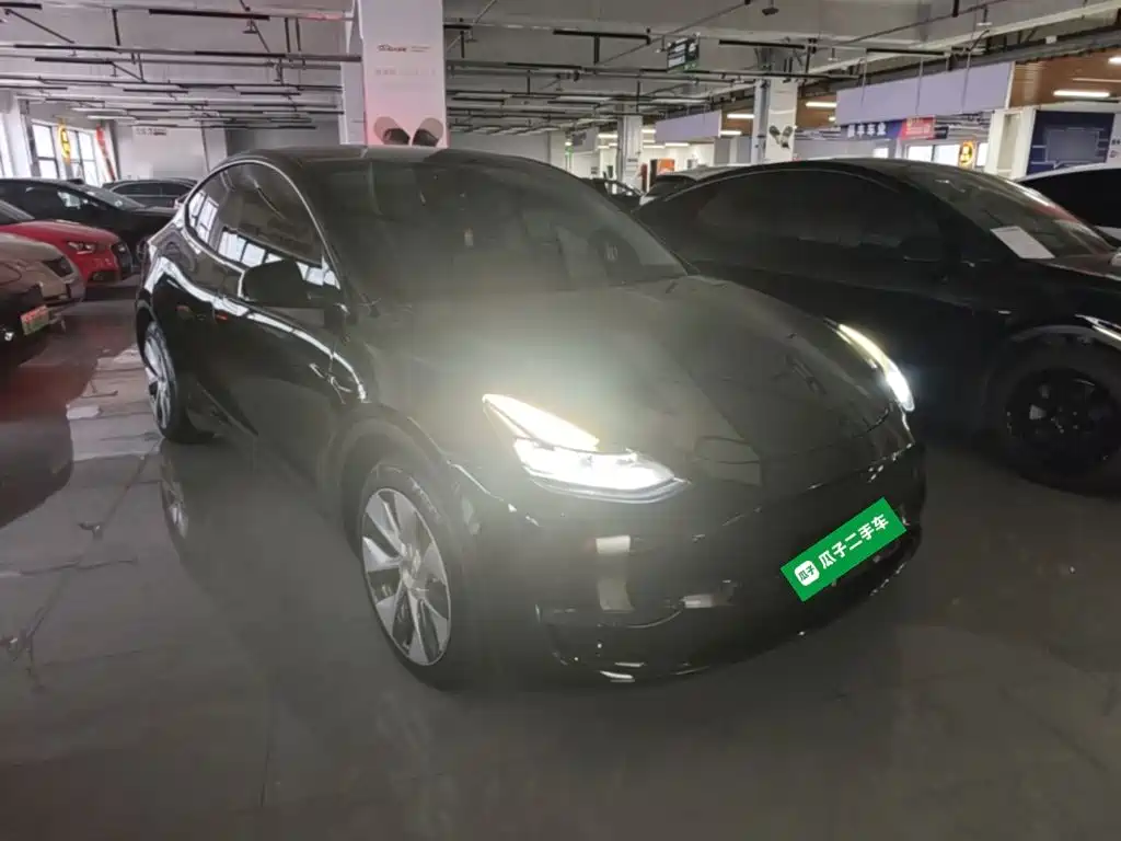 Tesla Model Y — миниатюра 4