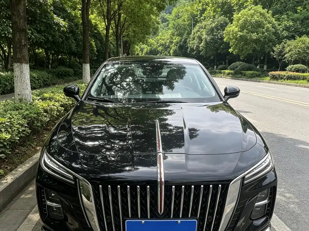 Hongqi Hongqi H5 2024